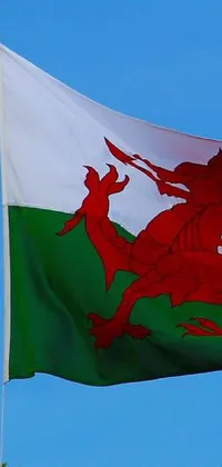 This phone live wallpaper features the Welsh flag blowing in the wind against a clear blue sky