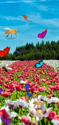 This live phone wallpaper showcases a beautiful field of red and white flowers against a blue sky