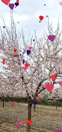 Delight in the enchanting beauty of this phone wallpaper, featuring a vibrant tree adorned with pink and purple hearts, cherries, and almond blossom buds