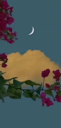 Sky Flower Moon Live Wallpaper