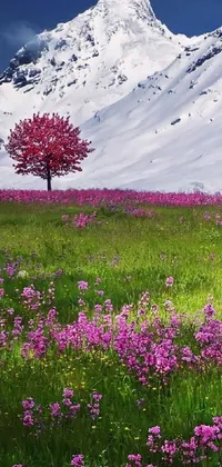 Sky Flower Plant Live Wallpaper