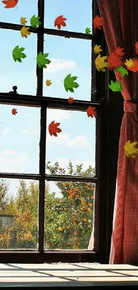 Sky Flower Window Live Wallpaper