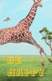 Sky Giraffe Giraffidae Live Wallpaper