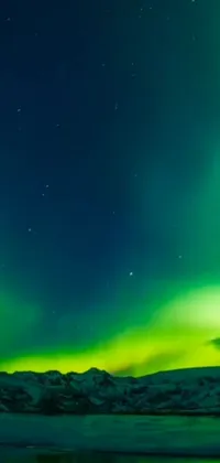 Experience the beauty of the aurora lights with this stunning phone live wallpaper! Captured by a professional photographer, this trending image features mesmerizing green and yellow hues commonly seen in Nordic-inspired designs