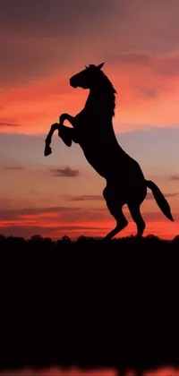 Get lost in the beauty of nature with this stunning phone live wallpaper! Featuring a striking silhouette of a horse standing on its hind legs against a vibrant red sky backdrop, this ultra-HD wallpaper brings the mustang to life right on your phone