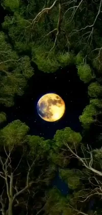 This live phone wallpaper showcases a stunning full moon beaming its light through a majestic forest