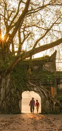 This stunning live wallpaper depicts a picturesque tree standing in front of an ancient city gateway, with roots wrapping tightly around it