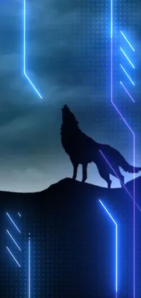 This phone live wallpaper showcases a striking image of a wolf standing atop a hill at night, with a futuristic hologram effect