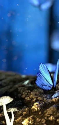 This phone live wallpaper showcases a gorgeous blue butterfly resting on a mushroom, set amidst a background of stunning digital art