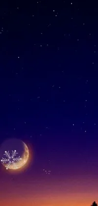 Download Dark Phone Night Sky With Stars Wallpaper