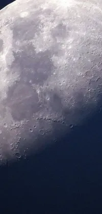 This live wallpaper showcases a striking macro photograph of the moon's surface, capturing detailed craters and a truncated snout