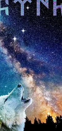 This amazing live wallpaper for your phone showcases a stunning polar bear staring at the magnificent night sky