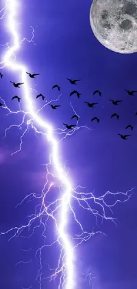 This captivating live phone wallpaper depicts a group of birds soaring in front of a full moon as lightning strikes across a beautiful blue indigo thunderstorm