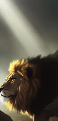 Decorate your phone with the fierce majesty of a lion standing atop a rocky hill in this live wallpaper