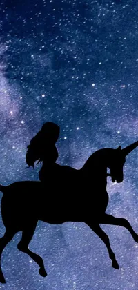 This phone live wallpaper features a beautiful silhouette of a woman riding on a majestic horse