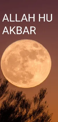 Get captivated by the enchanting sight of a full moon amidst dark clouds in this phone live wallpaper
