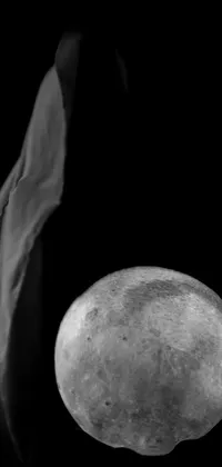 This live wallpaper depicts a black and white photograph of a piece of fruit in a vanitas-inspired portrait holding a moon on a stick against a funeral veil