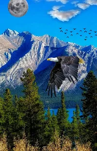 Sky Mountain Bird Live Wallpaper