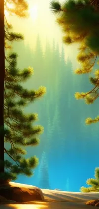 Sky Natural Landscape Leaf Live Wallpaper