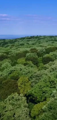 Sky Natural Landscape Terrestrial Plant Live Wallpaper