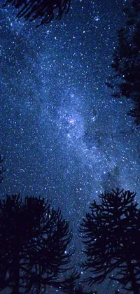 Enjoy the mesmerizing night sky on your phone with this live wallpaper
