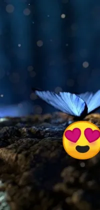 This mobile live wallpaper displays a colorful butterfly sitting on a rock in HD resolution