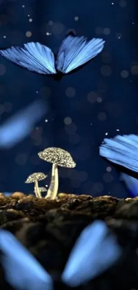 This live wallpaper showcases a group of elegant blue butterflies fluttering around a detailed mushroom in a stunning digital art scene