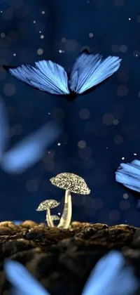 This phone live wallpaper features a group of delicate blue butterflies fluttering around a detailed mushroom