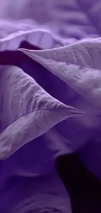 This purple comforter live wallpaper features a stunning macro photograph of a cozy bed, captured in incredible detail