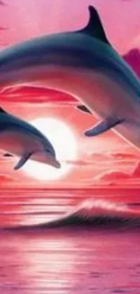 Enhance the look of your phone with this captivating live wallpaper featuring two dolphins leaping out of the water at sunset