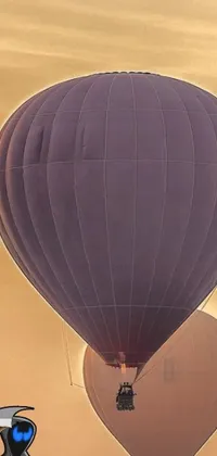 Experience the enchantment of floating through the sky in this captivating phone live wallpaper featuring two hot air balloons