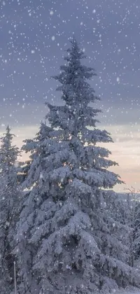 This phone live wallpaper depicts a skier traversing a snowy slope surrounded by an enchanting forest at dusk