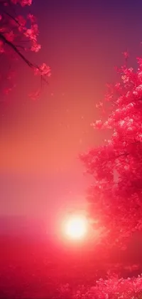 This live wallpaper features a stunning red tree set against a lush green field