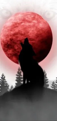 red wolf howling at moon