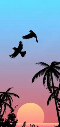Sky Plant Bird Live Wallpaper