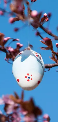 This phone live wallpaper showcases a unique folk art design featuring eggs hanging from a tree branch