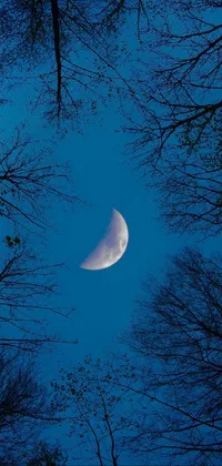 This phone live wallpaper showcases a serene landscape with a half moon peeking through the trees