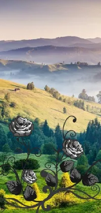 Sky Plant Mountain Live Wallpaper
