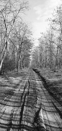 This black and white live phone wallpaper features a serene dirt road surrounded by trees, captured with high-quality Arriflex 35 II camera