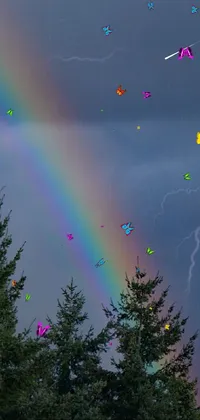 Sky Plant Rainbow Live Wallpaper