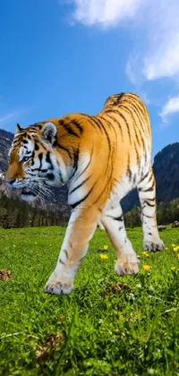 Sky Plant Siberian Tiger Live Wallpaper