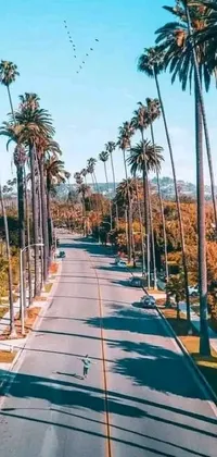 Get a stunning live phone wallpaper featuring a scenic street in Los Angeles, complete with gorgeous palm trees and a bright, sunny day