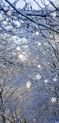 Wonderful winter morning Live Wallpaper