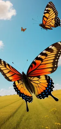 Sky Pollinator Insect Live Wallpaper