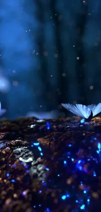 Looking for a magical phone live wallpaper? Check out this breathtaking digital art featuring a group of butterflies resting on a rocky surface