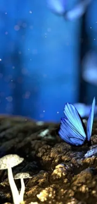 This phone live wallpaper showcases a stunning digital artwork of a blue butterfly sitting on top of a pile of dirt
