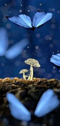 This lively phone live wallpaper showcases a group of delicate, blue butterflies as they dance around a vibrantly hued mushroom