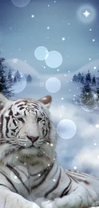Sky Siberian Tiger Bengal Tiger Live Wallpaper