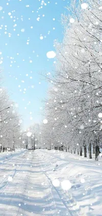Sky Snow Branch Live Wallpaper