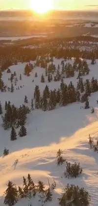 Experience the rush of downhill skiing with this stunning phone live wallpaper showcasing a skier in action on a snow-covered slope